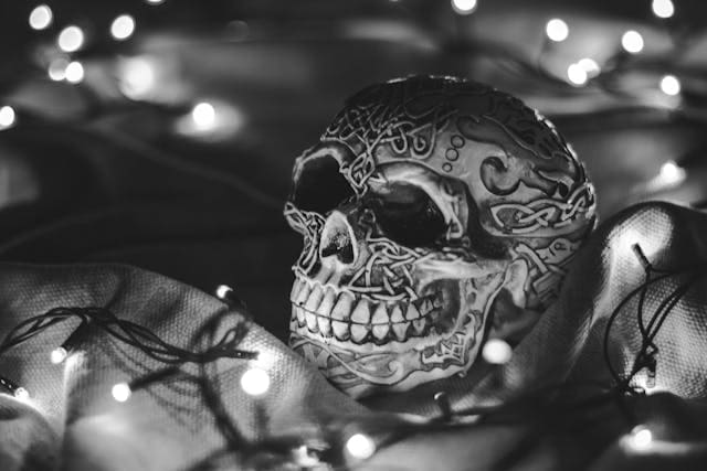 Imagem de capa de Step Back in Time and Reveal Your Previous Self