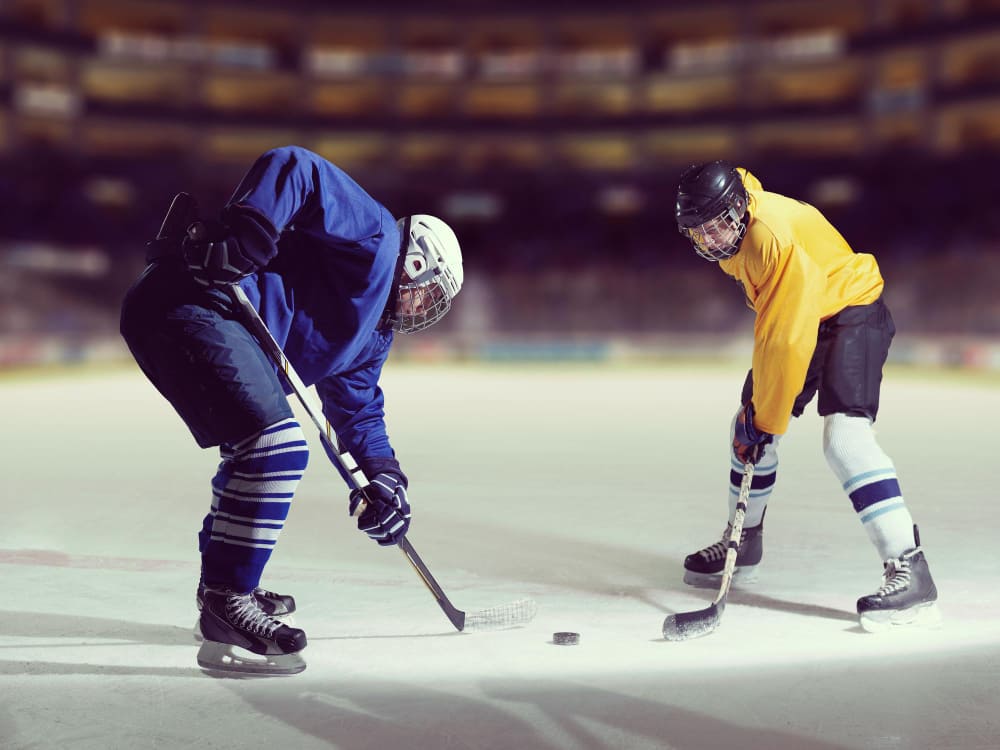 Imagem de capa de Regardez la saison complète de la LNH en streaming dès maintenant