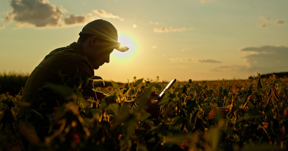 Imagem de capa de Call centers y agro contratan masivamente